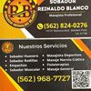Reinaldo Blanco alcantar