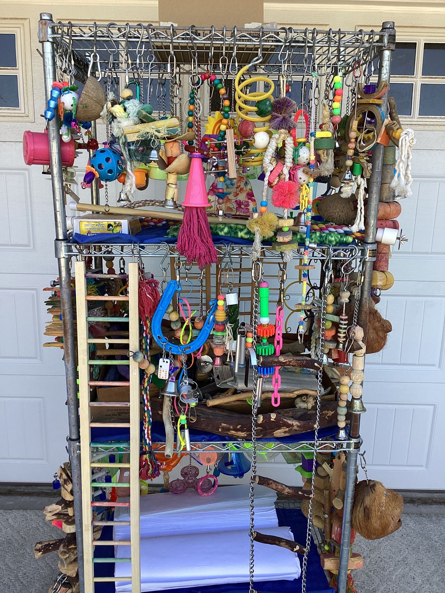 Bird / Parrot / Toys