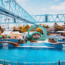 $20 SINGLE DAY SEAWORLD TICKETS 