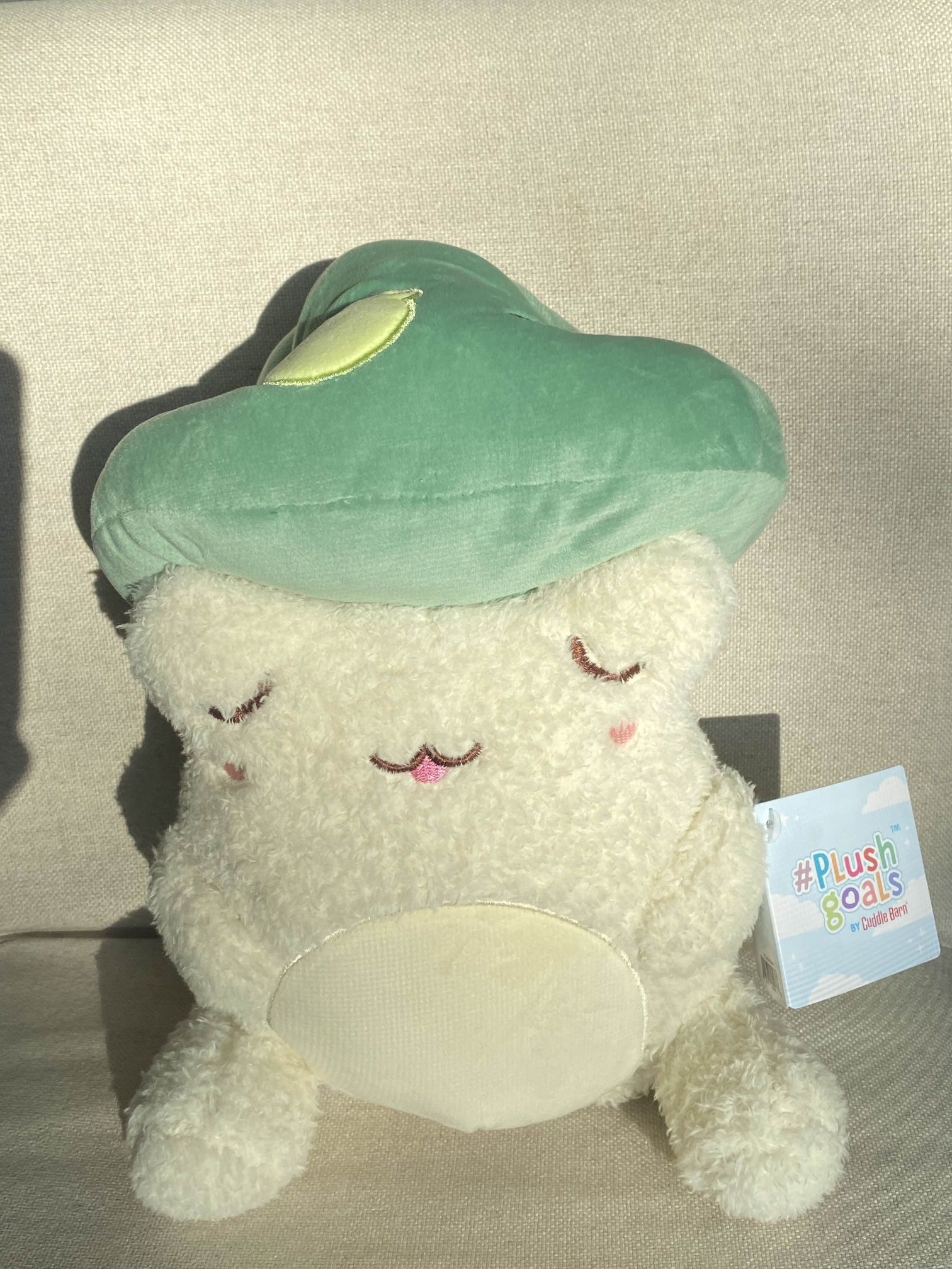 NWT Plushgoals Cuddle Barn Toady Toadstool Wawa Froggie 9"