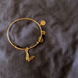 Alex and Ani Brass Butterfly Bangle