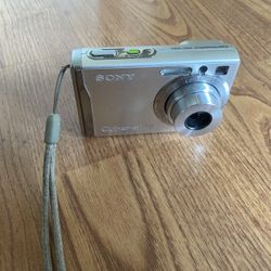 Sony Cybershot DSCW80 7.2MP Digital Camera with 3x Optical Zoom and Super Steady Shot-Silver