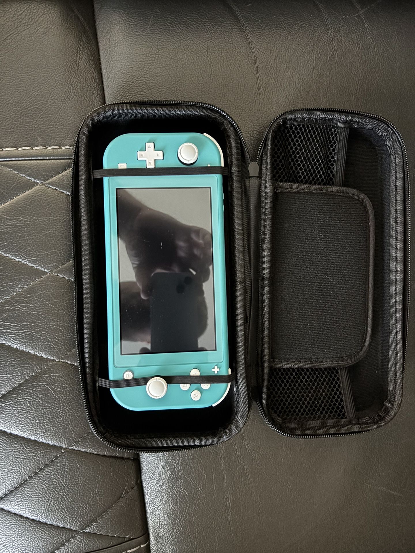 Never Used Switch Lite