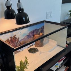 Reptile Tank And Lights