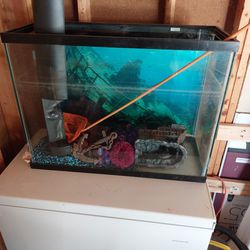 Fish tank And Accessories 