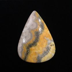 Bumble bee Jasper
