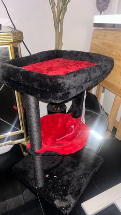 Cat bed