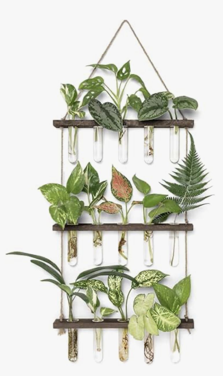 3 Tiers propagation station