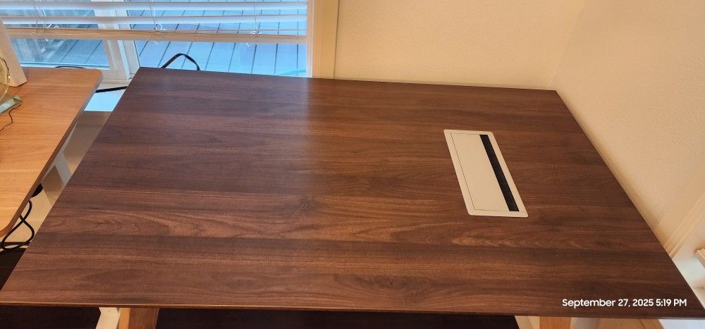 Computer/ Office Desk