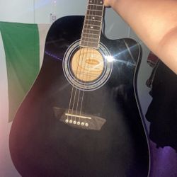 Washburn Guitar