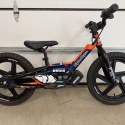 16” Brushless Stacyc 3 BATTERIES, Graphic Kit, and Charger