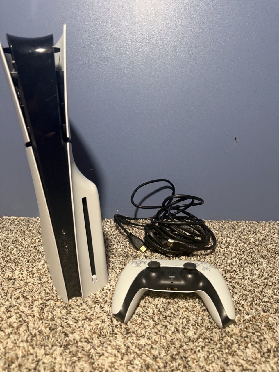 Image #1