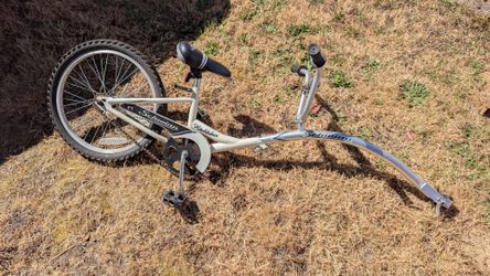 Schwinn Hitchhiker Tag-Along Bike – Freedom for the Little Rider! 🚲