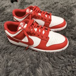 Red Nike Dunks Size 9.5 Brand New