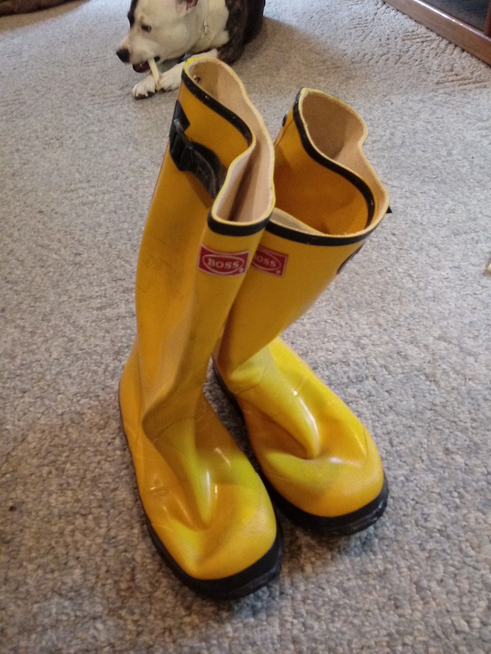 BOSS SIZE 11 RUBBER BOOTS 25 BUCKS