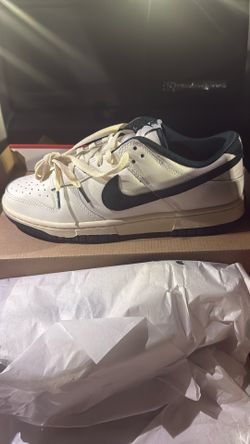 Men Nike Dunks