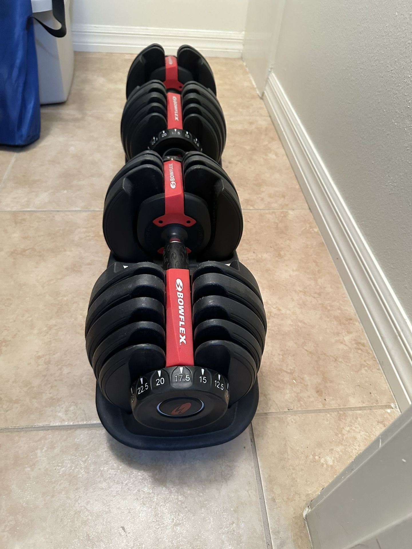 BowFlex Dumbbell Set With Bench