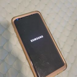 Samsung Galaxy S9+ And Case