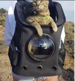 Bubble Cat Back Pack