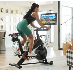 ProForm Pro C22 Exercise Bike