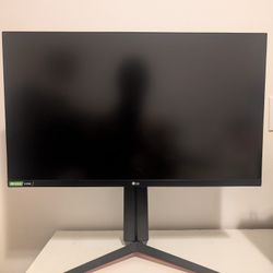 LG Monitor 