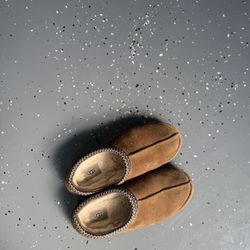 Ugg Tasmans