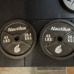 Nautilus, Vintage Weight Plates - 45lb, 25lb Pairs