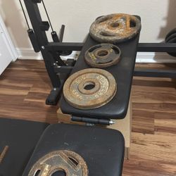 Weight Set !!! Can’t Add Gains If You Don’t Add Weight 🙏💪