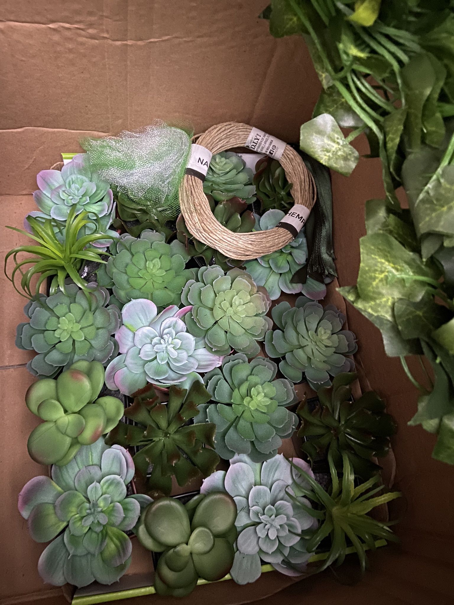 Baby Shower Succulents Theme