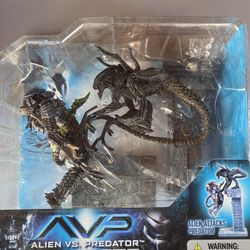 Alien V Predator Set