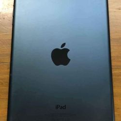 Gen 2 16gb WiFi 7inch Mini Ipad
