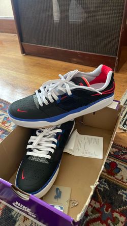 Nike SB Low-Top Skate Sneakers