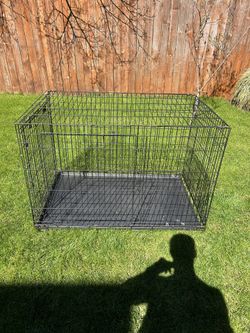 Top Paw Folding Dog Crate