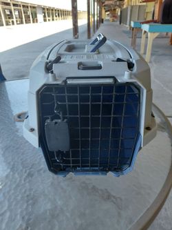 Hard Shell Pet Travel Carrier Crate