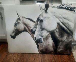 Horse picture