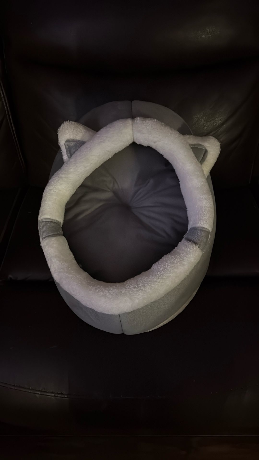 Kitty bed Brand New never use