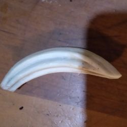 Colmillo De Gabali $200