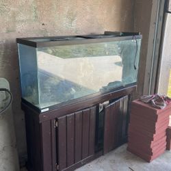 Drilled 5o Gallon Salt Water Tank