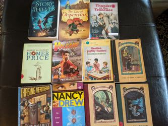 Fiction Chapter Book Collection: 5th & 6th Grade Reading Level (11 books)