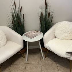 Two Beautiful Amazon Accent Chairs! 35 Each