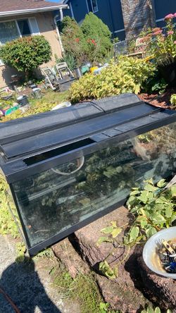 Fish tank size 30 price 30$. Pick up. E. Side Tacoma