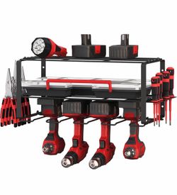 Power tool organizer