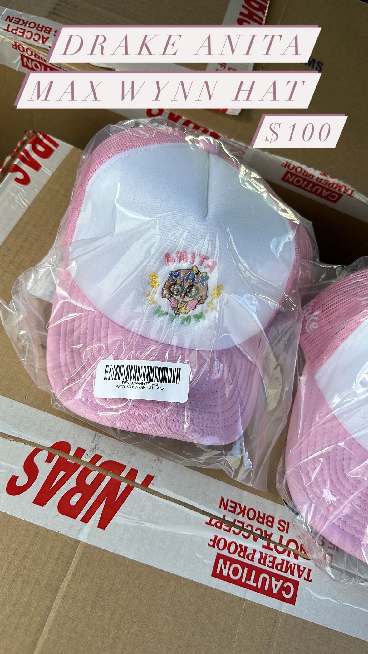Drake Anita Max Wynn Hat Pink New