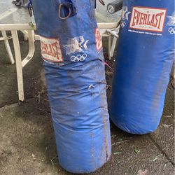 Everlast punching bags  Both For 80$ Or 60$ For A Single One