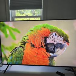 Samsung Q70 True 4K 49 inch