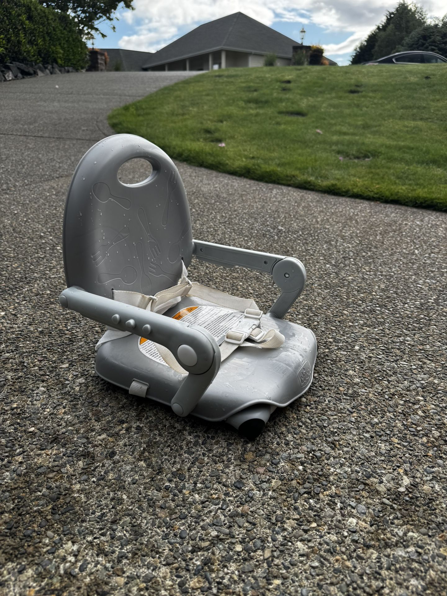 Chicco Booster Seat