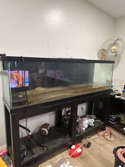 125 gallon aquarium
