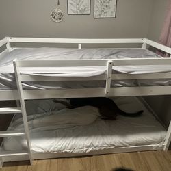 Bunk Beds Twin Over Twin