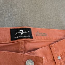 7 For all Mankind Slimmy