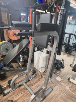 Body Solid Vertical Knee Raise and Dip